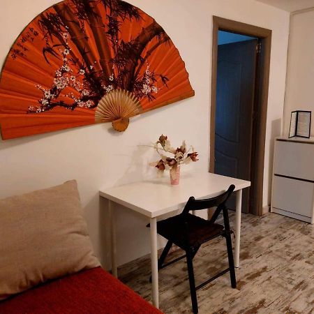 Huge 3 Room Apartament In City Center! Бухарест Экстерьер фото